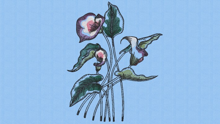 Calla Lily 003 Embroidery Designs