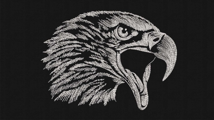 Hand Drawn Eagle Head