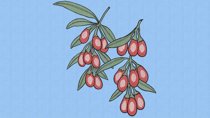 Goji Berries Designs