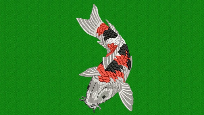 Japanese Koi Fish